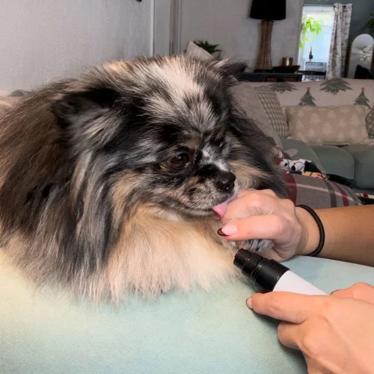 Electric Dog Nail Clippers™ - CalmPaws