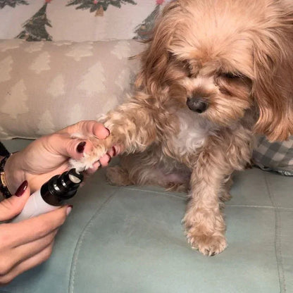 Electric Dog Nail Clippers™ - CalmPaws