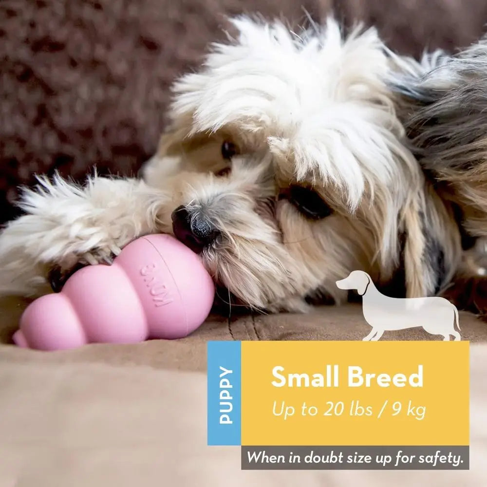 ClassicBounce™ Rubber Chew Toy