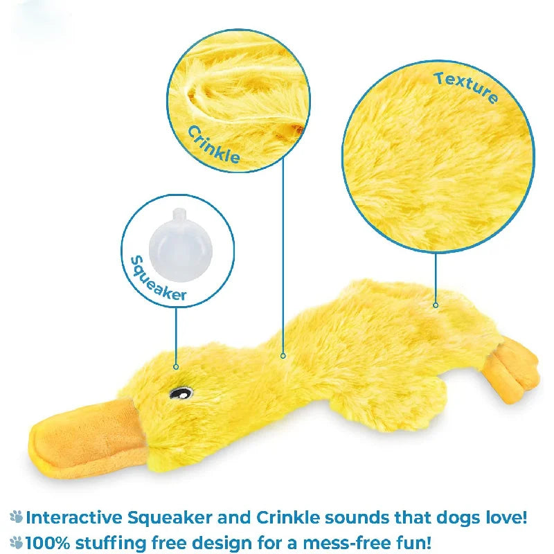CrinkleDuck™ Fun & Squeak Dog Toy