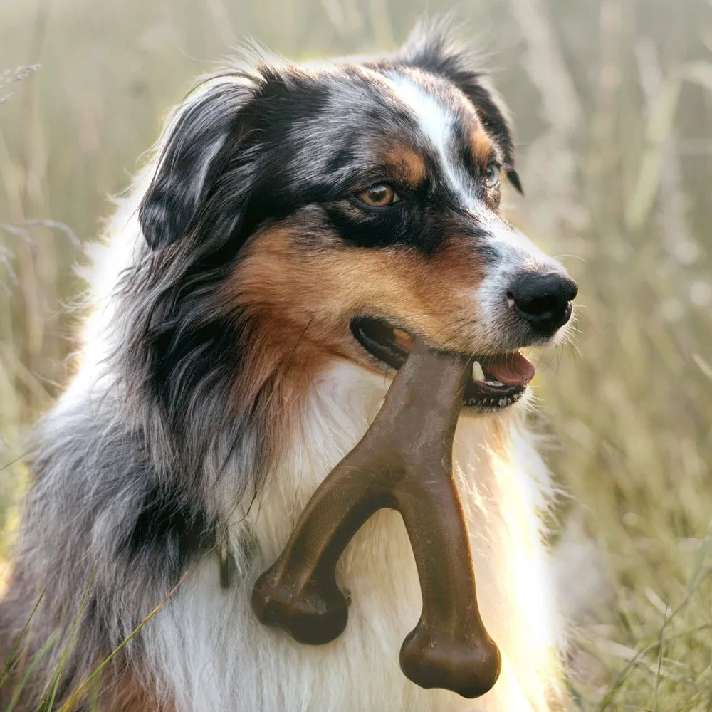 PowerBone™ USA-Made Nylon Dog Chew Bone