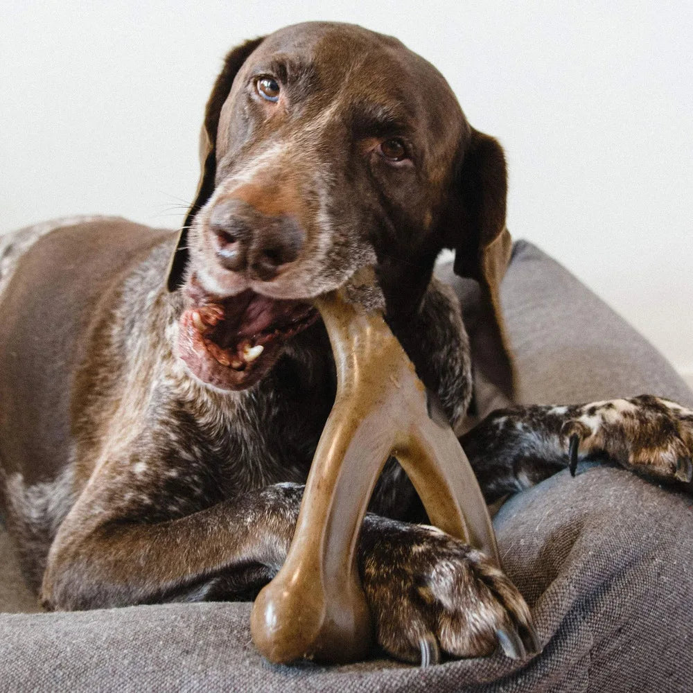 PowerBone™ USA-Made Nylon Dog Chew Bone