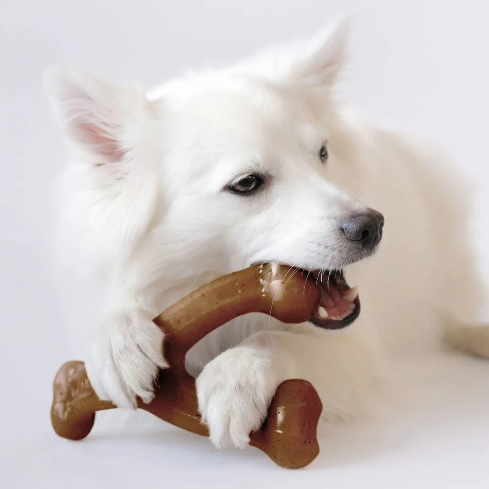 PowerBone™ USA-Made Nylon Dog Chew Bone